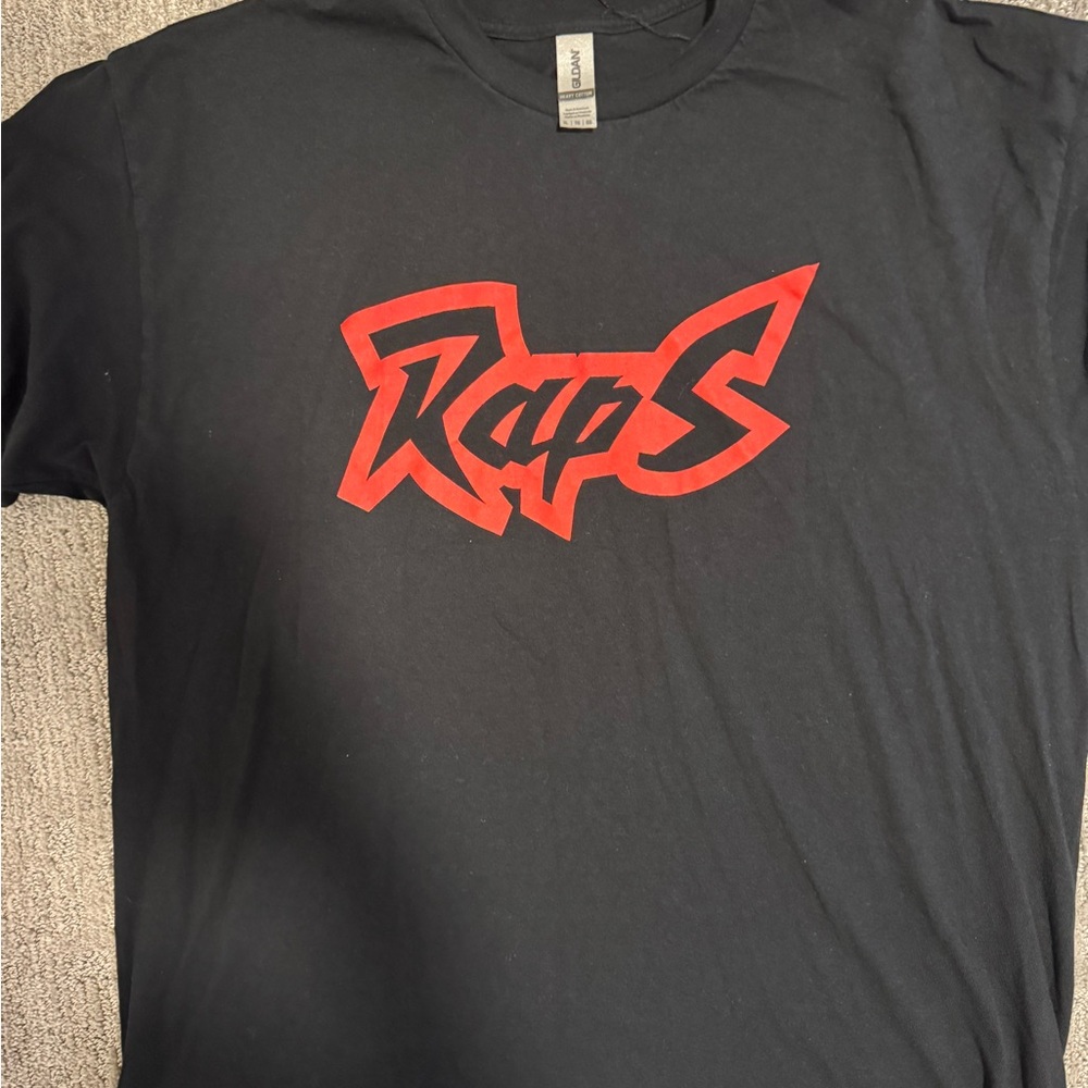 Gildan Heavy Cotton Black T-Shirt RAPTORS